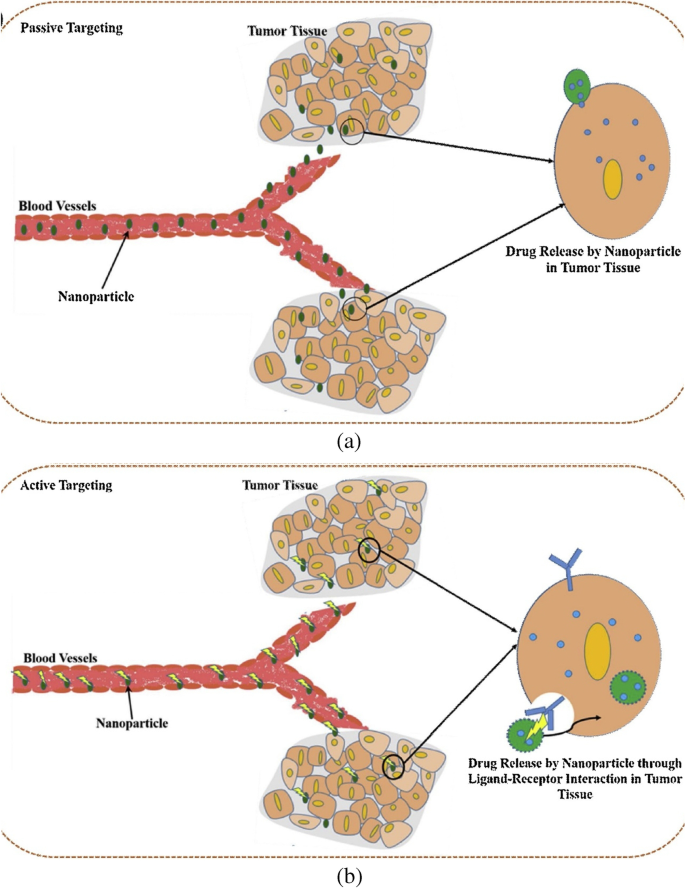 Membrane Oxidation in Cell Delivery and Cell Killing Applications