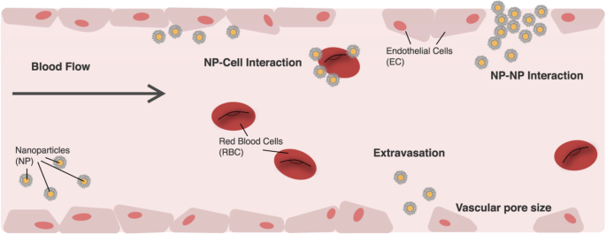 thesis cancer therapy figure 5