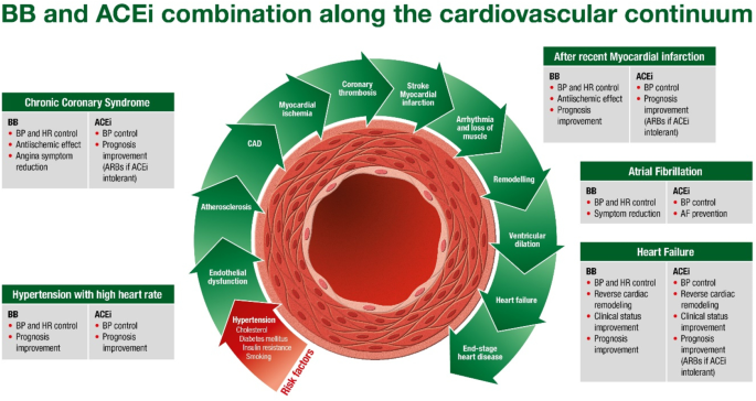 The Combination of Beta-Blockers and ACE Inhibitors Across the Spectrum of  Cardiovascular Diseases | SpringerLink