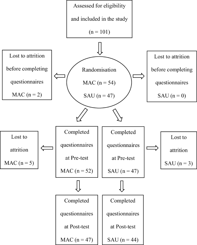 Marte Meo and Coordination Meetings (MAC): A Systemic School-Based Video  Feedback Intervention—A Randomised Controlled Trial | Child and Adolescent  Social Work Journal