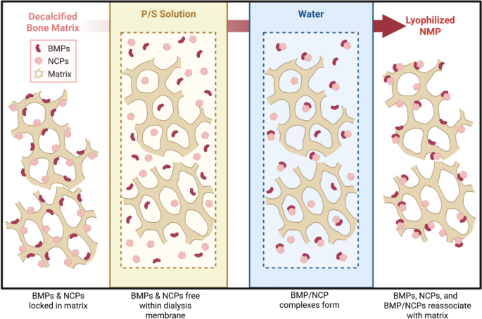 mixing igf 1 lr3 with bacteriostatic water How to Reconstitute IGF-1 for Accurate Lab Results IGF-1 LR3 question : r/PeptideForum
