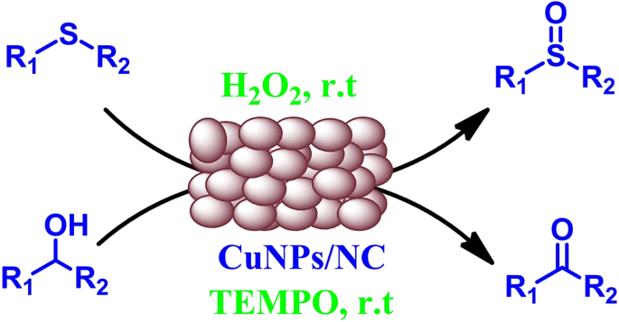 Copper Nanoparticles Immobilized On Nanocellulose A Novel And Efficient Heterogeneous Catalyst For Controlled And Selective Oxidation Of Sulfides And Alcohols Springerlink