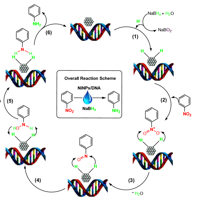 figure 9