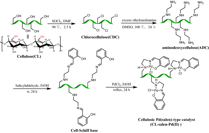 Synthesis of a Cellulosic Pd(salen)-Type Catalytic Complex as a Green and  Recyclable Catalyst for Cross-Coupling Reactions | SpringerLink