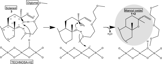 scheme 4