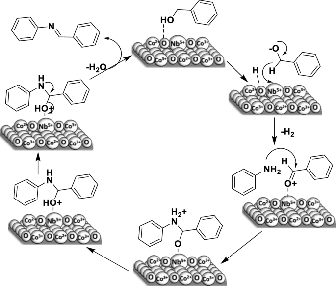 scheme 5