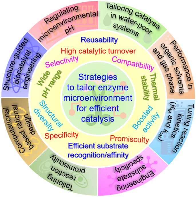 From nature to industry: Harnessing enzymes for biocatalysis