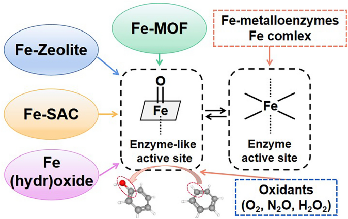 Metalloenzyme-Inspired Ce-MOF Catalyst for Oxidative Halogenation Reactions