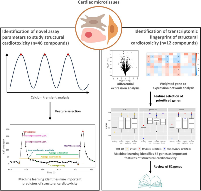 Computational approaches identify a transcriptomic fingerprint of drug ...