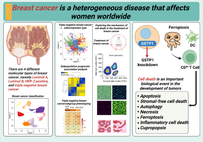 Distinct mechanisms of cell in breast cancer and their clinical ...