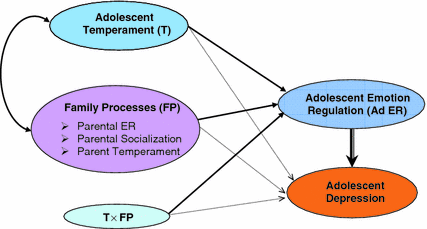 Using An Emotion Regulation Framework To Understand The Role Of Temperament And Family Processes In Risk For Adolescent Depressive Disorders Springerlink Using An Emotion Regulation Framework To Understand The Role Of Temperament And Family Processes In Risk For Adolescent Depressive Disorders Springerlink