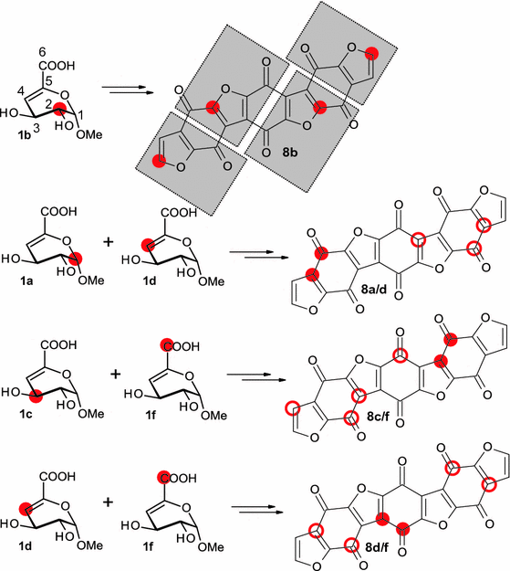 scheme 7