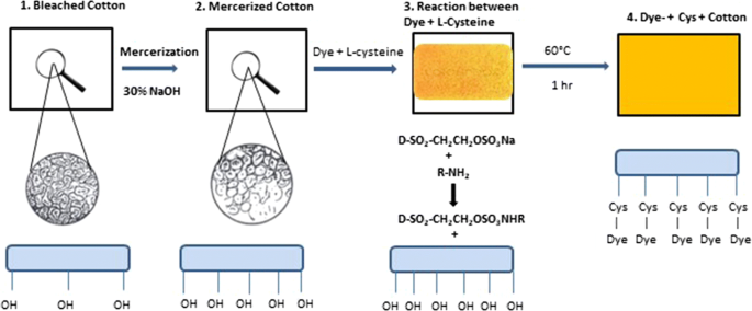 Simultaneous Dyeing And Anti Bacterial Finishing On 100 Cotton Fabric Process Establishment And Characterization Springerlink