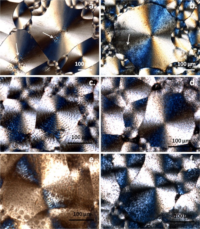 Role Of Bacterial Cellulose And Poly 3 Hydroxyhexanoate Co 3 Hydroxyoctanoate In Poly 3 Hydroxybutyrate Blends And Composites Springerlink