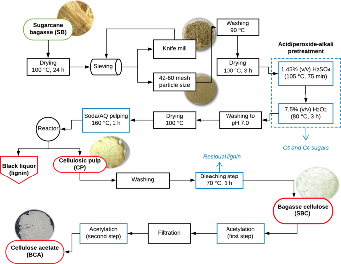 Investigating Acid Peroxide Alkali Pretreatment Of Sugarcane Bagasse To Isolate High Accessibility Cellulose Applied In Acetylation Reactions Springerlink