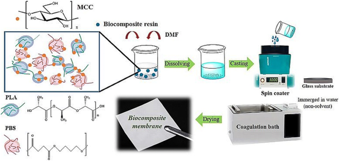 Sapuan fluorida