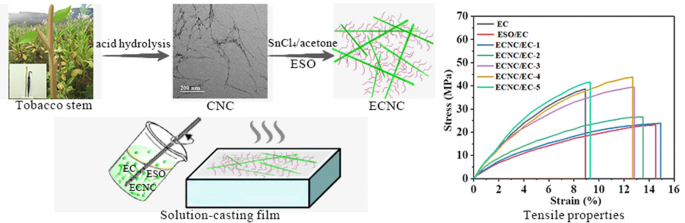 Preparation of cellulose nanocrystal from tobacco-stem and its application  in ethyl cellulose film as a reinforcing agent | SpringerLink