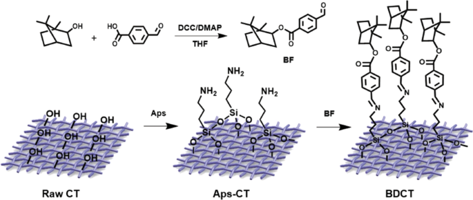 Construction of rough surface based on zein and rosin to hydrophobically  functionalize cotton fabric with antibacterial activity - ScienceDirect