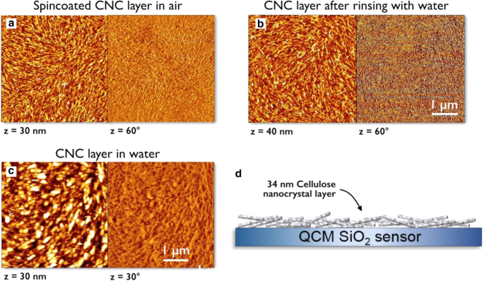 Adsorption Of A Fabric Conditioner On Cellulose Nanocrystals Synergistic Effects Of Surfactant Vesicles And Polysaccharides On Softness Properties Springerlink