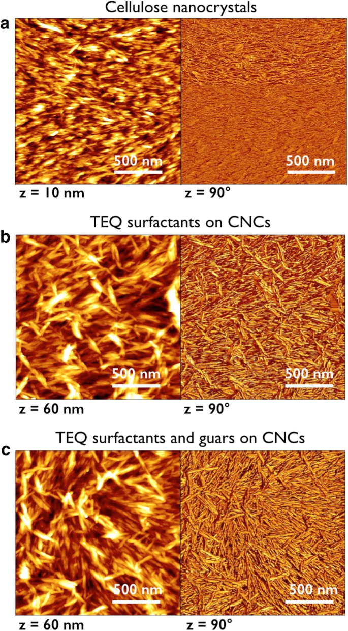 Adsorption Of A Fabric Conditioner On Cellulose Nanocrystals Synergistic Effects Of Surfactant Vesicles And Polysaccharides On Softness Properties Springerlink