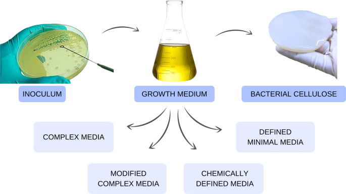 A Review Of Culture Media For Bacterial Cellulose Production Complex Chemically Defined And Minimal Media Modulations Springerlink