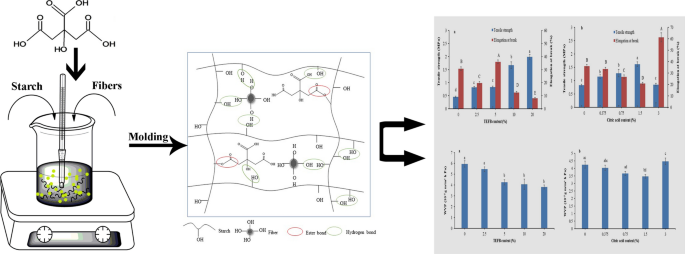 Preparation And Characterization Of Starch Based Bioplastic Composites With Treated Oil Palm Empty Fruit Bunch Fibers And Citric Acid Springerlink
