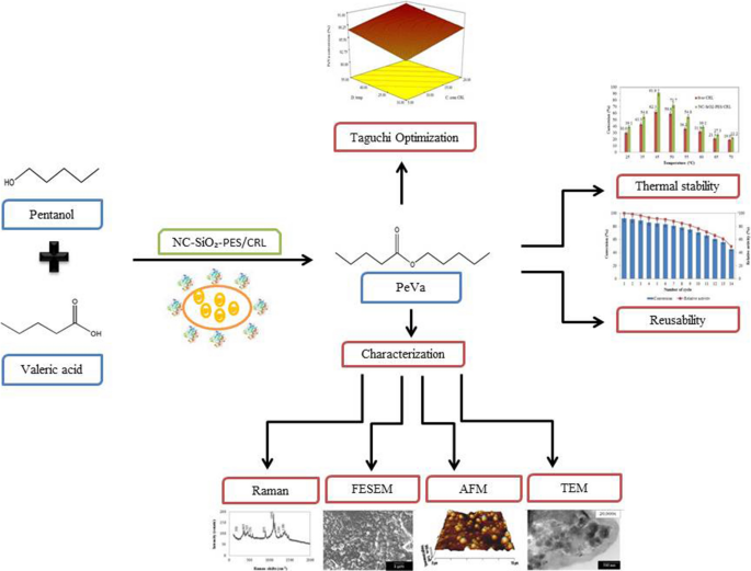 Taguchi orthogonal design assisted immobilization of Candida rugosa lipase  onto nanocellulose-silica reinforced polyethersulfone membrane:  physicochemical characterization and operational stability | SpringerLink