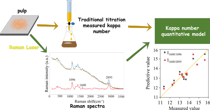 Monitoring the kappa number of bleached pulps based on FT-Raman  spectroscopy | SpringerLink