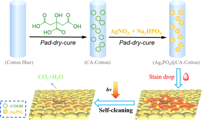 Surface functionalization of cotton fabric with Ag3PO4 via citric acid  modification using pad-dry-cure process for enhancing self-cleaning  performance | SpringerLink