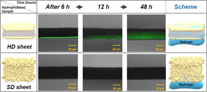 Preparation of Water-Based Alkyl Ketene Dimer (AKD) Nanoparticles and Their  Use in Superhydrophobic Treatments of Value-Added Teakwood Products