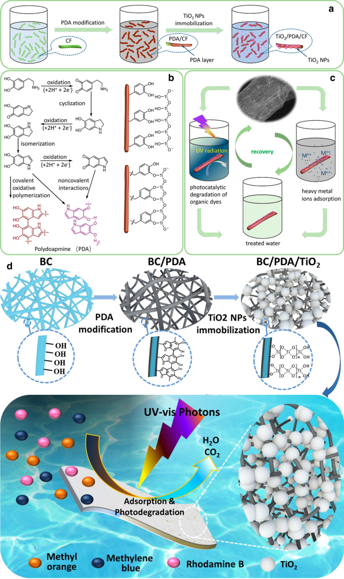 Oxidant Control of Polydopamine Surface Chemistry in Acids: A  Mechanism-Based Entry to Superhydrophilic-Superoleophobic Coatings