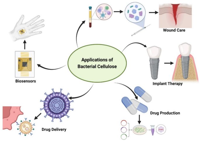 Biosensor applications of bacterial cellulose in therapeutic ...