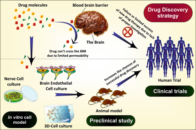 Recent Expansions on Cellular Models to Uncover the Scientific Barriers  Towards Drug Development for Alzheimer's Disease | SpringerLink