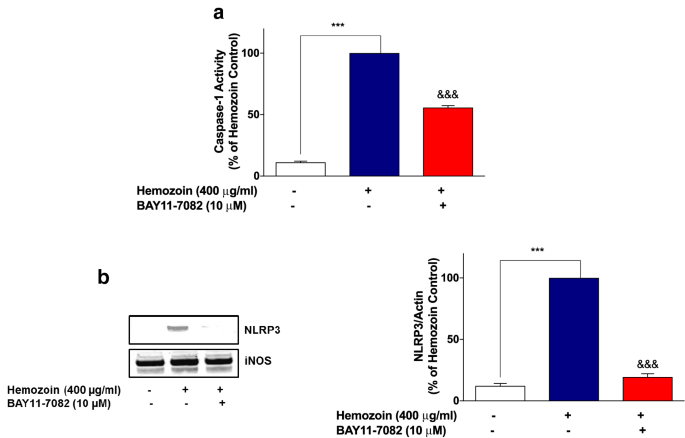 Induction Of Neuroinflammation And Neurotoxicity By Synthetic Hemozoin Springerlink