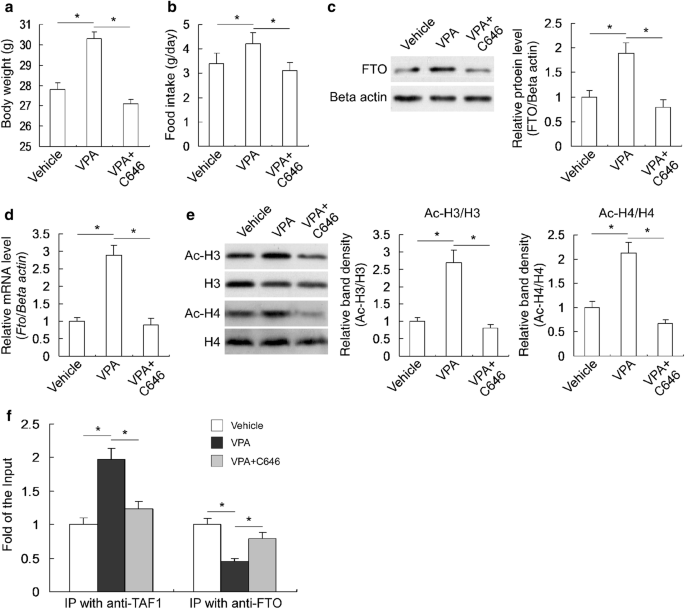 Sodium valproate and 5-aza-2′-deoxycytidine differentially modulate DNA  demethylation in G1 phase-arrested and proliferative HeLa cells
