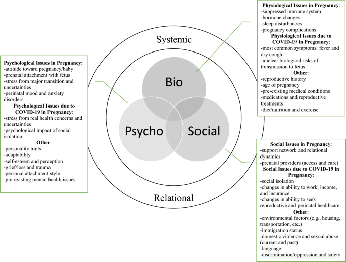 Impact of COVID-19 on the Perinatal Period Through a Biopsychosocial  Systemic Framework | SpringerLink