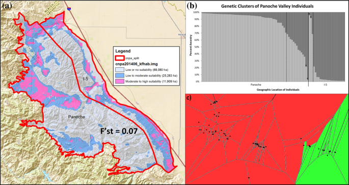 Distribution Fine Scale Subdivision And Population Size Of San Joaquin Kit Foxes In The Ciervo Panoche Natural Area California Springerlink