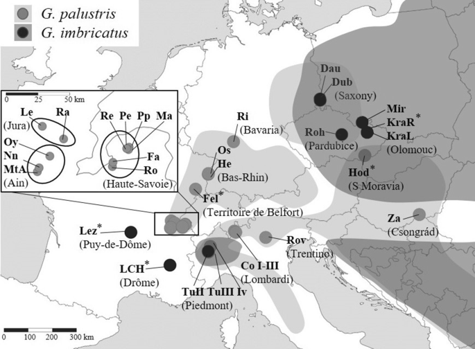 Genetic status of the endangered plant species Gladiolus palustris in the  western part of its distribution area | SpringerLink