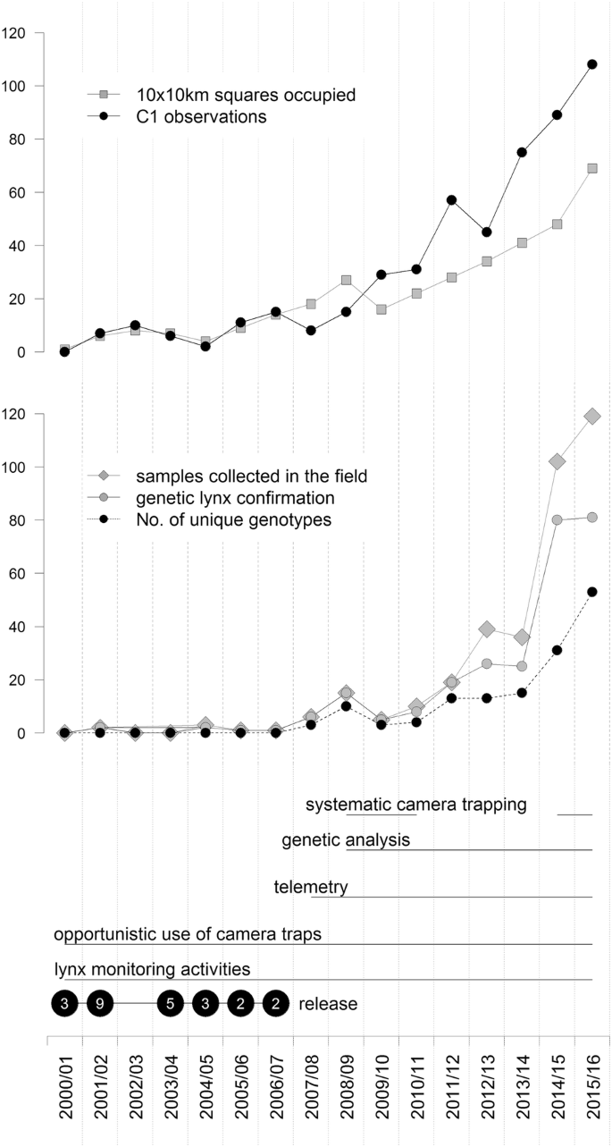 Female-biased introductions produce higher predicted population size and  genetic diversity in simulations of a small, isolated tiger (Panthera  tigris) population