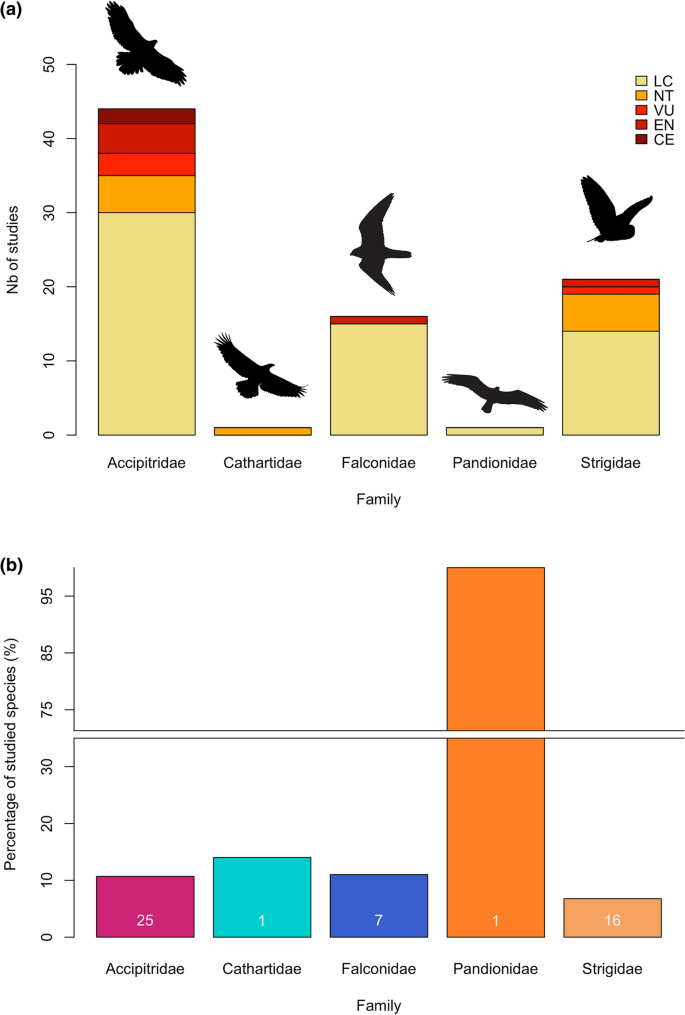 Half of raptors breeding in North Africa are threatened with extinction –  IUCN report