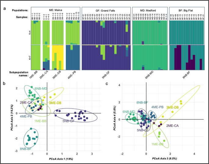 Genomic analysis reveals population structure and guides conservation ...