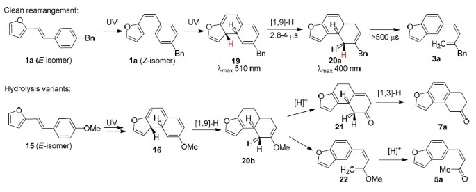 scheme 6