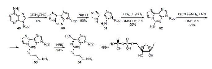 scheme 14