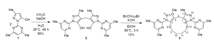 scheme 1