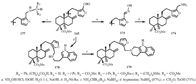 scheme 23