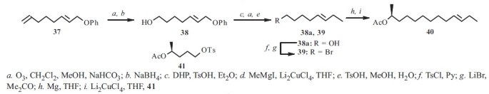 scheme 5