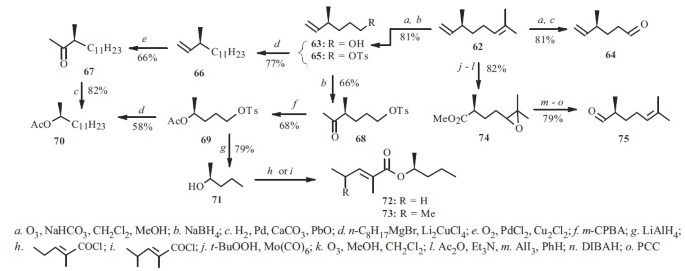 scheme 8