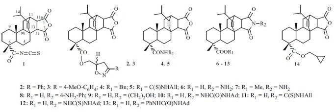 Search For Compounds With Antiviral Activity Among Maleopimaric Acid Derivatives Springerlink