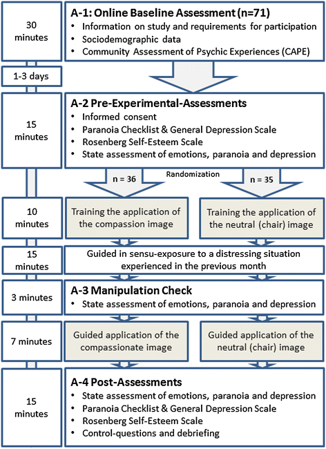 Can Paranoid Thoughts Be Reduced By Targeting Negative Emotions And Self Esteem An Experimental Investigation Of A Brief Compassion Focused Intervention Springerlink