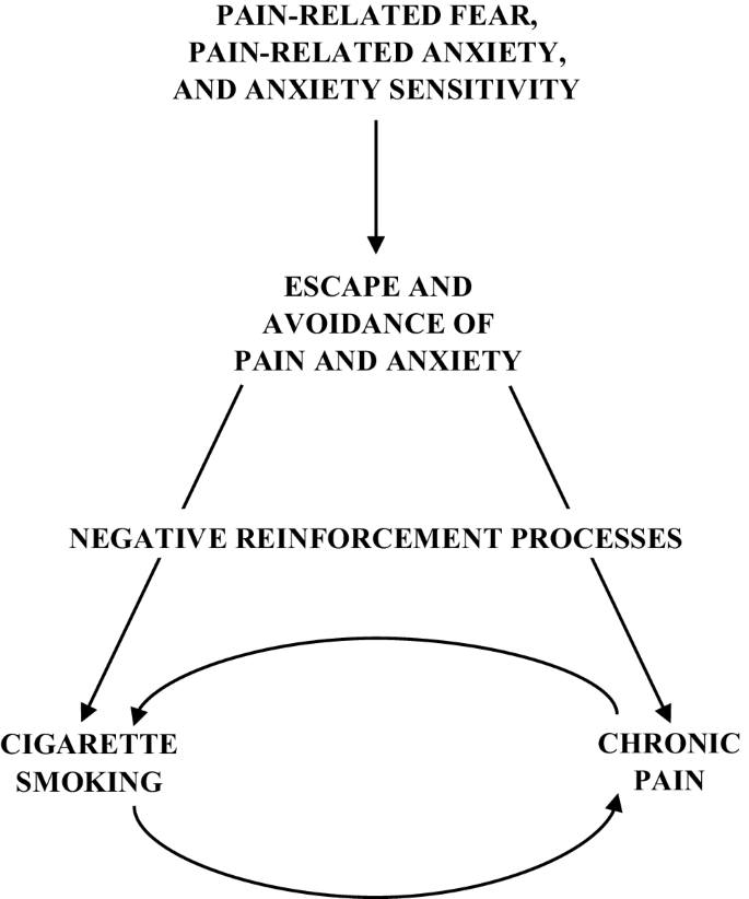 typical moisture content in cigarette tobacco PDF) THE EFFECT OF CIGARETTE MOISTURE ON FORMATION OF PARTICULATE PHASE OF  THE MAINSTREAM TOBACCO SMOKE